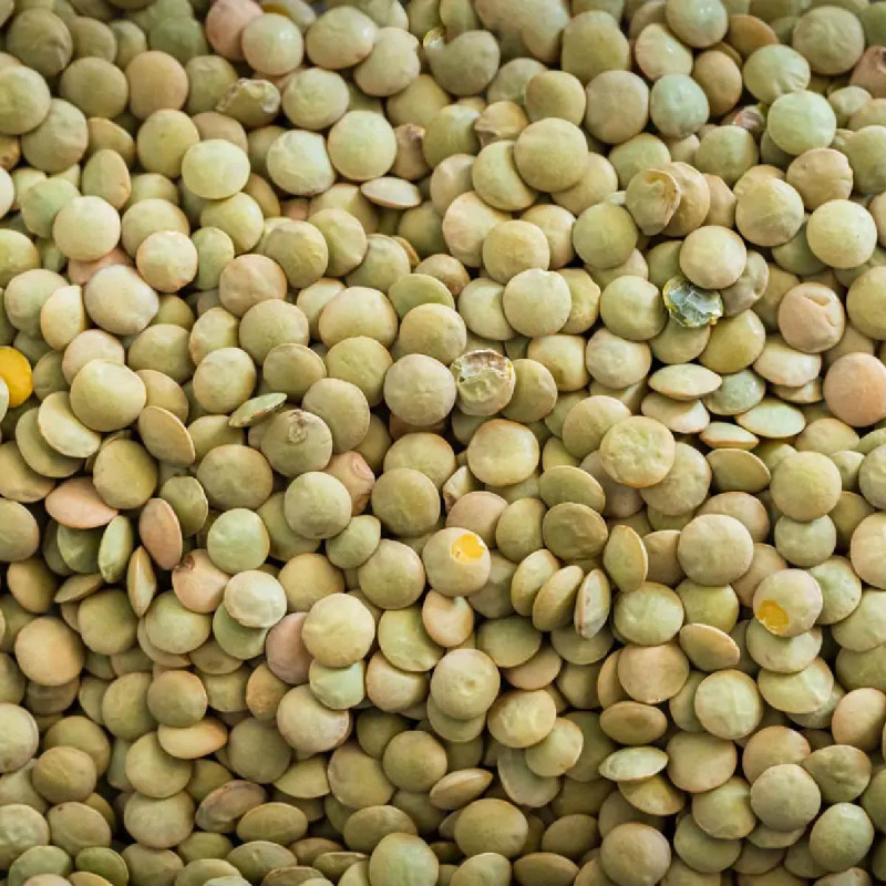 Green Lentils