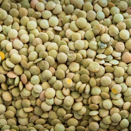 Green Lentils