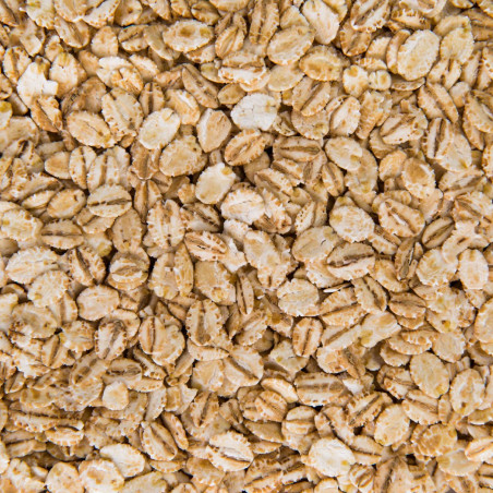Oat Grain