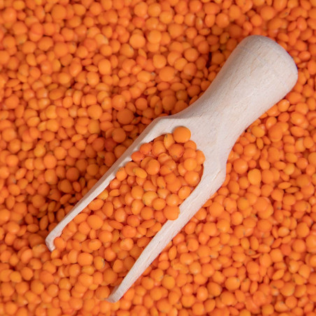 Red Lentils