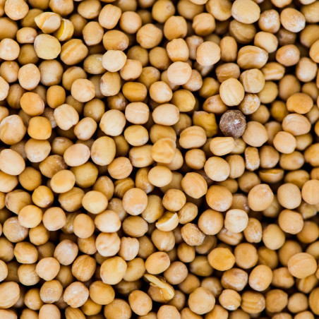 Soybeans