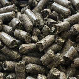 Sunflower Feed Pellets