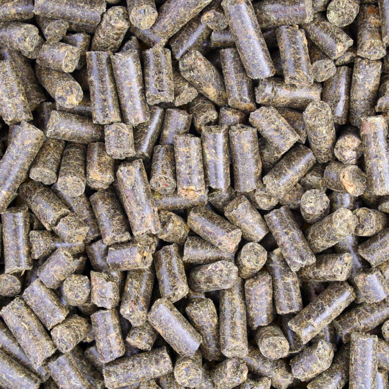 Sugar Beet Pulp Pellets