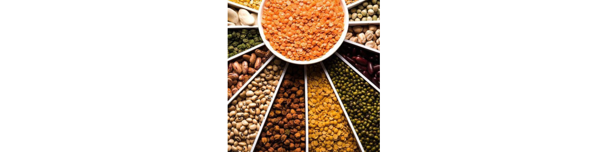 Legumes & Pulses