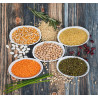 Oilseeds & Other